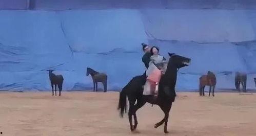 赵露思在圈内人爆料,揭秘明星背后的真实故事  第1张