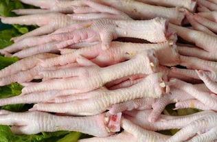 坏鸡爪子爆料视频下载,下载背后的真相与争议