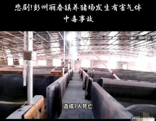 彭州网友爆料事件最新,揭秘事件背后惊人真相！  第3张