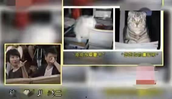 汉中主播爆料案件视频曝光,案情细节引发社会关注 第2张 汉中主播爆料案件视频曝光,案情细节引发社会关注 第2张